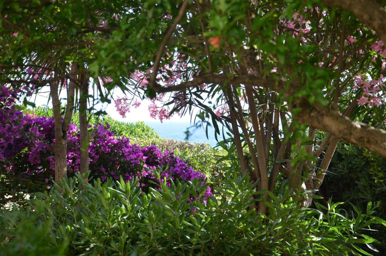 Fantastic Sardinia Villette Con Giardino Fronte Mare Fertilia Faho-Gav01-Gav02 Zewnętrze zdjęcie