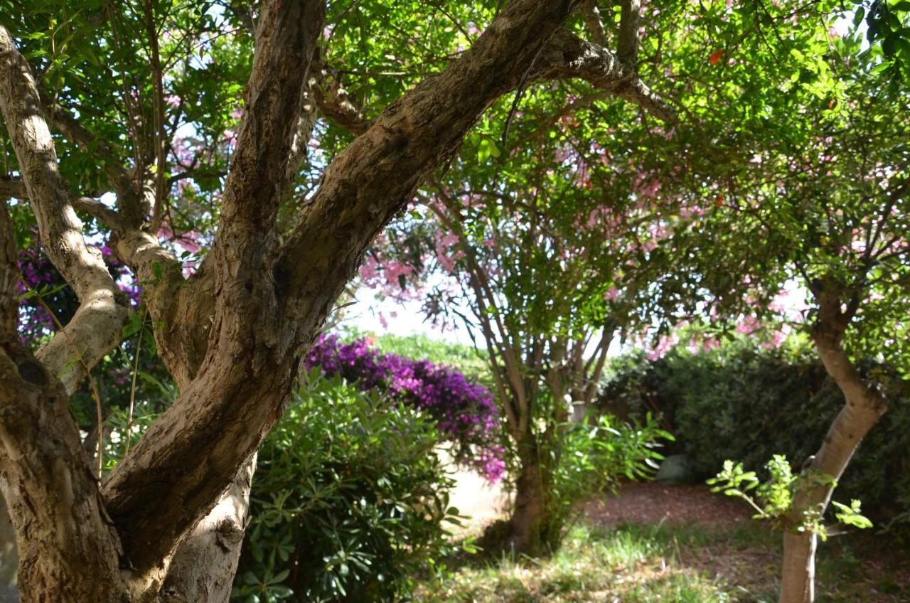 Fantastic Sardinia Villette Con Giardino Fronte Mare Fertilia Faho-Gav01-Gav02 Zewnętrze zdjęcie